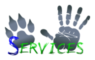 Logo SERVICES